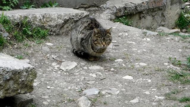 Заброшенный уголок Пятигорска