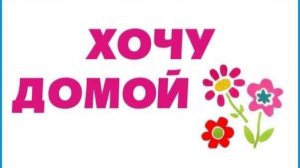 Щенки хотят домой