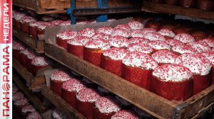 ⚡️ «Следующая Пасха будет мирной!» Пасхальные куличи отправили на передовую