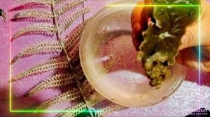 ✨Что нужно знать?!!✨