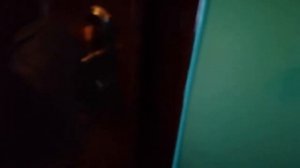 ВЛОГ ПОСОЛИЛА КАПУСТУ/ЗАХОТЕЛИ РЫБУ/КУПИЛИ ХУРМУ