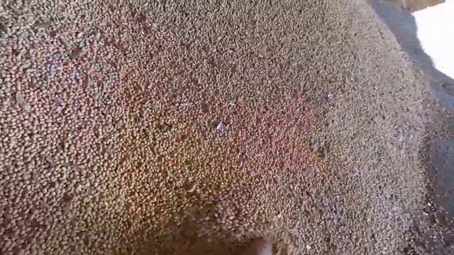 висновки по сої 2017 смотреть онлайн