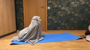 Йога для снюсоедов #снюсоед