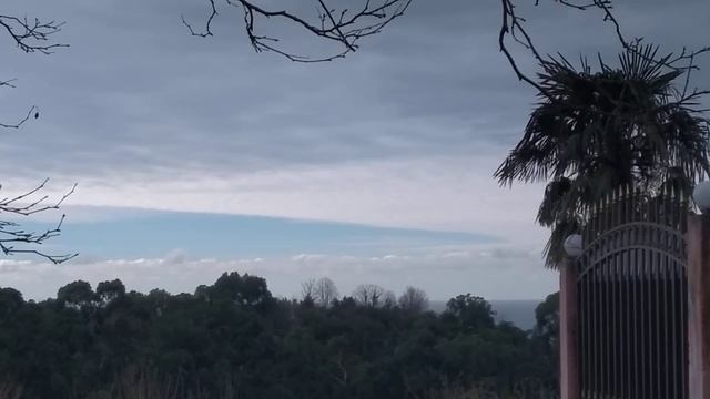 11.02.22 Лена под платаном смотреть онлайн