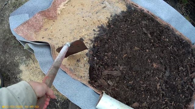 2 посадка брусники и клюквы