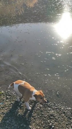 1000072296.mp4