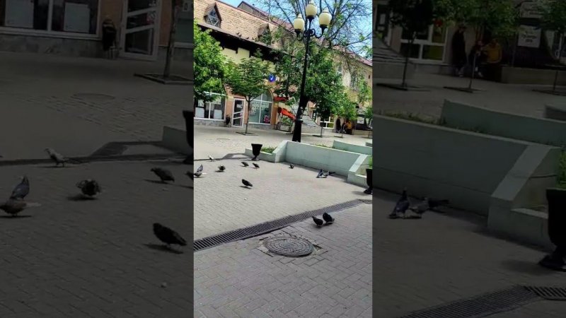 Гуляем по Ейску