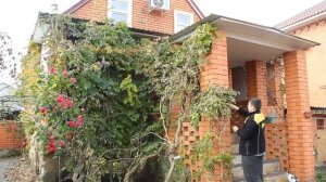 Осень / уборка двора / готовлюсь к зиме / 28.11.2021