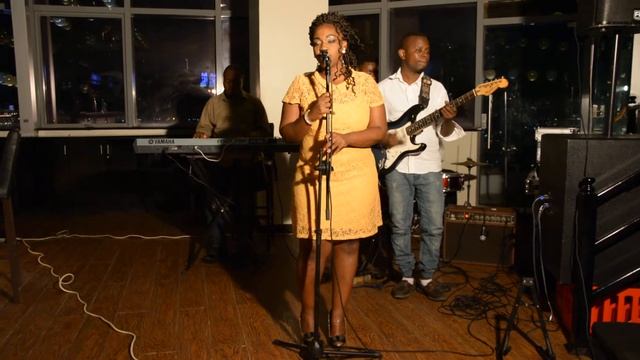 Fever live cover by Seghito смотреть онлайн