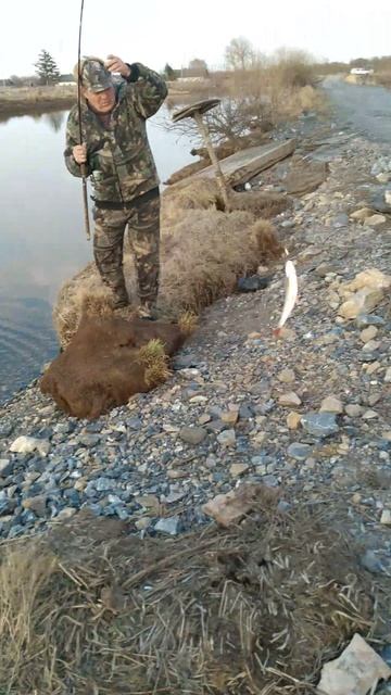 РЫБАЛКА НА КРАСНОПЁРА