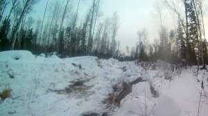 Т 130-дорога по вырубам.......часть 2