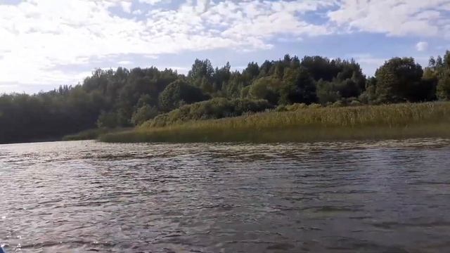 Открытие Осенней Охотыкак смог так и показал