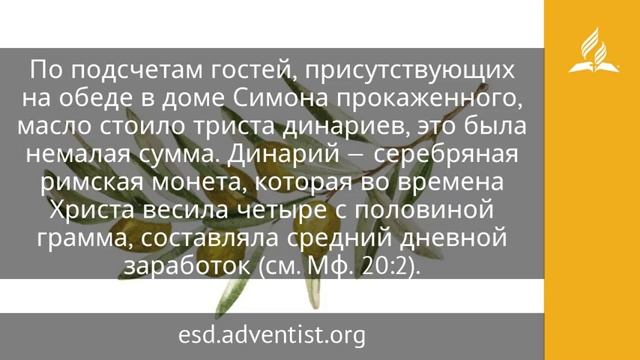 21 апреля 2025 Женщина с алебастровым сосудом.Под сенью благодати. Адвентисты