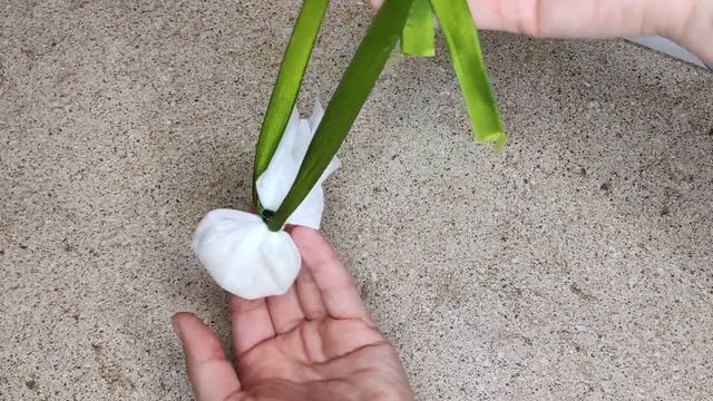 Взяла Влажные Салфетки и Рис и Теперь Всё в Моем Доме Пахнет Потрясающе смотреть онлайн