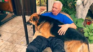 Знакомство с моей дачей, борьба с девичьим виноградом. Часть 2