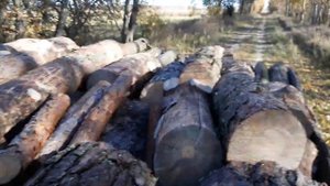 Вывоз дров из лесу на Т-16 он-же в "Шасик"и "Пердунок"