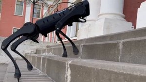 III Весенняя школа МАИ. Новости Доры выпуск 1