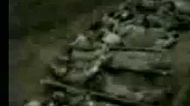 Чечня в огне.3gp