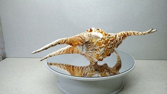 Стромбус Херагра 24,6 смотреть онлайн