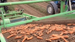 Морковоуборочный комбайн JE на полях Московской области