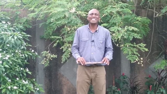 Moringa 1/5: Why is Moringa said to be the tree of life? смотреть онлайн