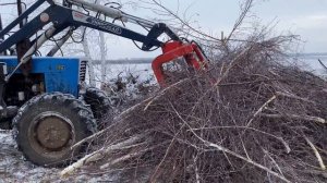Очистка поля от берёз, поваленных Дт-75