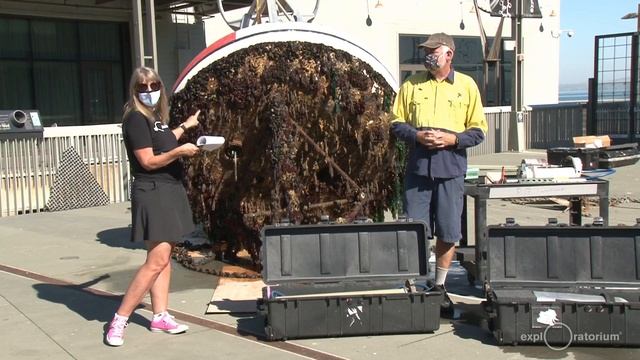 Ocean Buoy Live Exploration: Cleaning and Servicing a CO2 Buoy смотреть онлайн