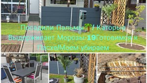 Наша Дача 🔥/Купили мебель на Дачу Пересадка 🌴