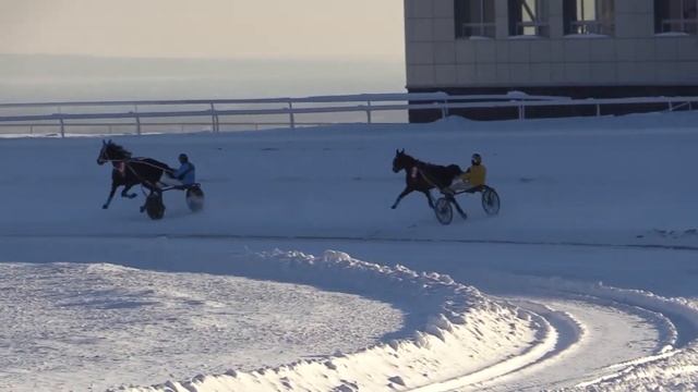 24 Декабря 2019 1 Квалификационный заезд смотреть онлайн