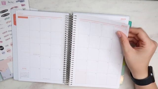 2019 Plum Paper Planner | Plum Planner Review смотреть онлайн