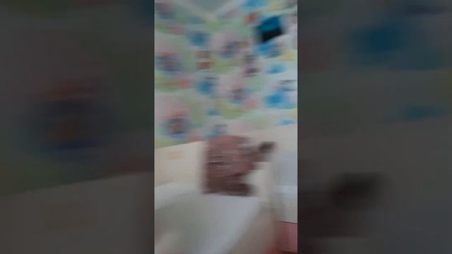 Уборка комнаты чек смотреть онлайн