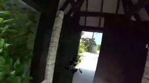 ВЛОГ с ОТДЫХА Димы Масленникова с СЕМЬЁЙ с МАЛЬДИВ !