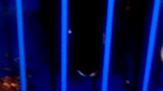 Жизнь кролика.       ⭐⭐⭐⭐⭐⭐⭐⭐⭐⭐⭐⭐ смотреть онлайн