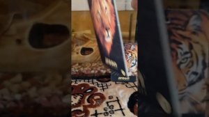 обзор на ароматизатор от компанії areon QUALITY PERFUMES картоний запахом JUNGLE KING WILD