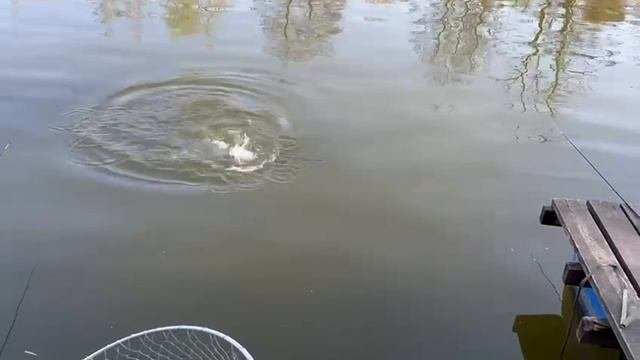 20.04.25 г. РК Волна