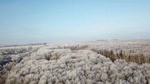 Lens Studio Kursk | video_test_4 2.5k | Недалеко от Лебяжьего