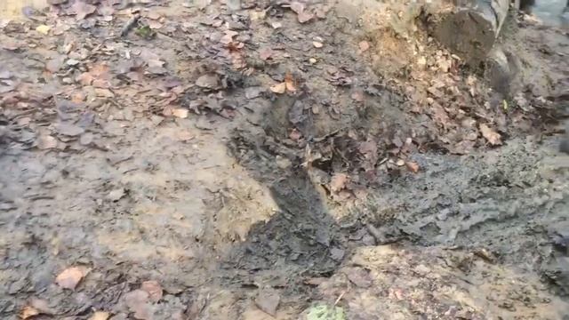 ”Trophy raid” в Битцевском парке. смотреть онлайн