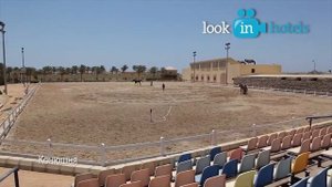 Concorde Sport Area 5   Sharm El Sheikh, Egypt