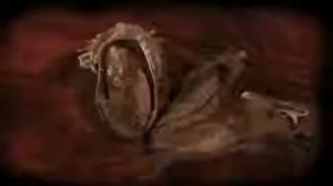 Comme des Garcons Fragrances - Вандервуд / Парфюм