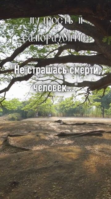 Леонардо Да Винчи, путь к смерти