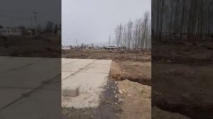 Стоит ли брать участок в таком месте и сколько уйдет денег поднять болото