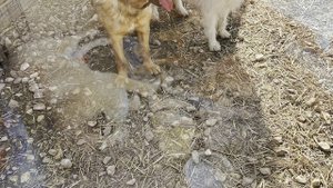 Помогите погасить долги