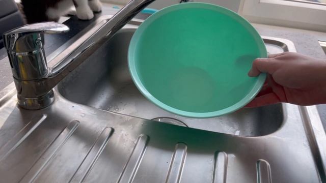 With THIS Trick You Save A LOT Of Water In The Kitchen! (SAVE Energy Costs) ✅ смотреть онлайн