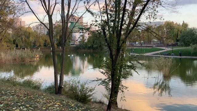 Тирасполь Приднестровье Осень Октябрь 2022   14