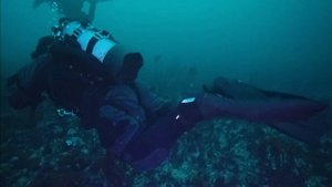 Дайвинг на Баренцевом море