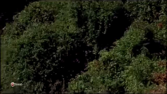 ГБ 2 Я ЧЕРНАЯ ЛОГИКА служители закона смотреть онлайн