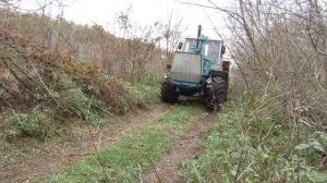 как мы ездили в лес за дровами. трактором Т150к.