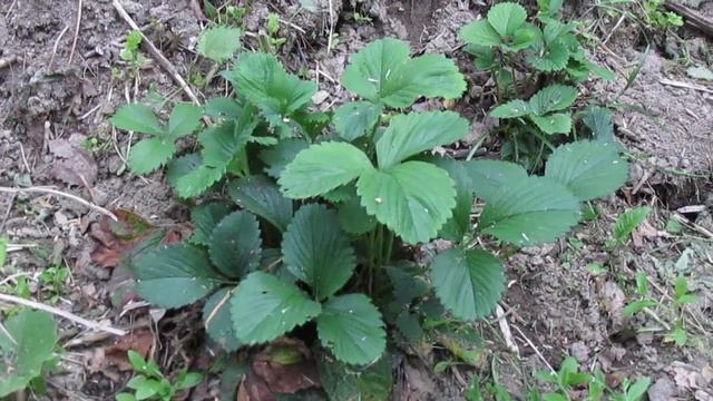 Pleasant with useful!