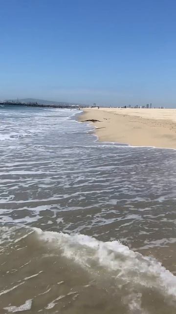 📹 Рыболовный момент смотреть онлайн