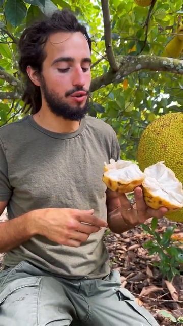 Benefits of Annona Reticulata😍#shorts #fruit #trend